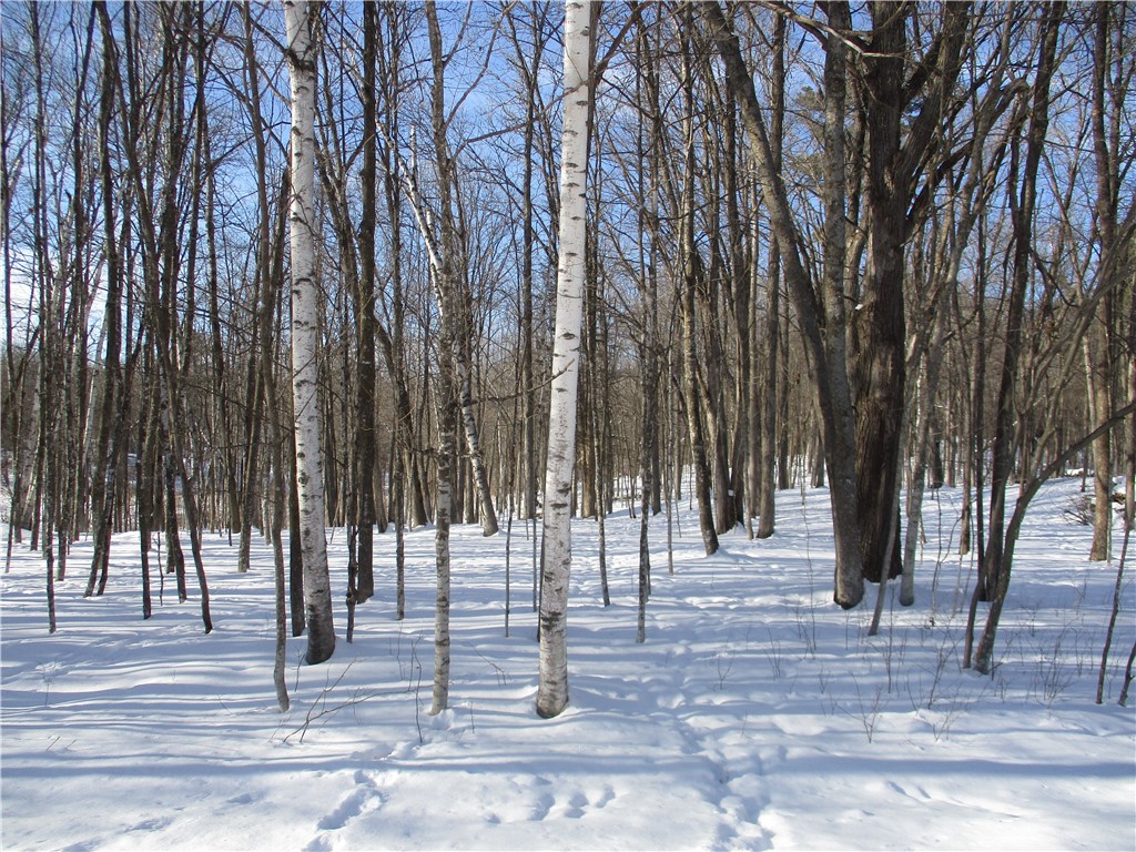 Lot #88 Maple Way Property Photo