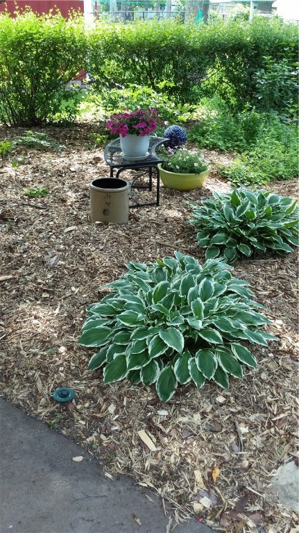 319 Well Street Property Photo 24