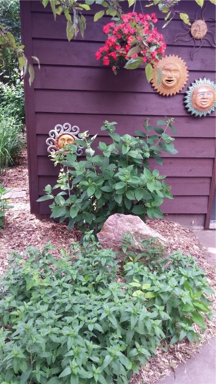 319 Well Street Property Photo 25
