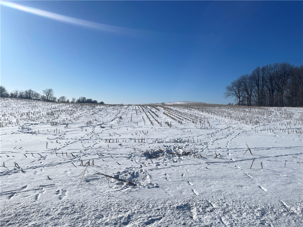 0 200th Street Property Photo