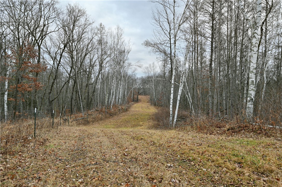 67 Acres Mclean Road Property Photo