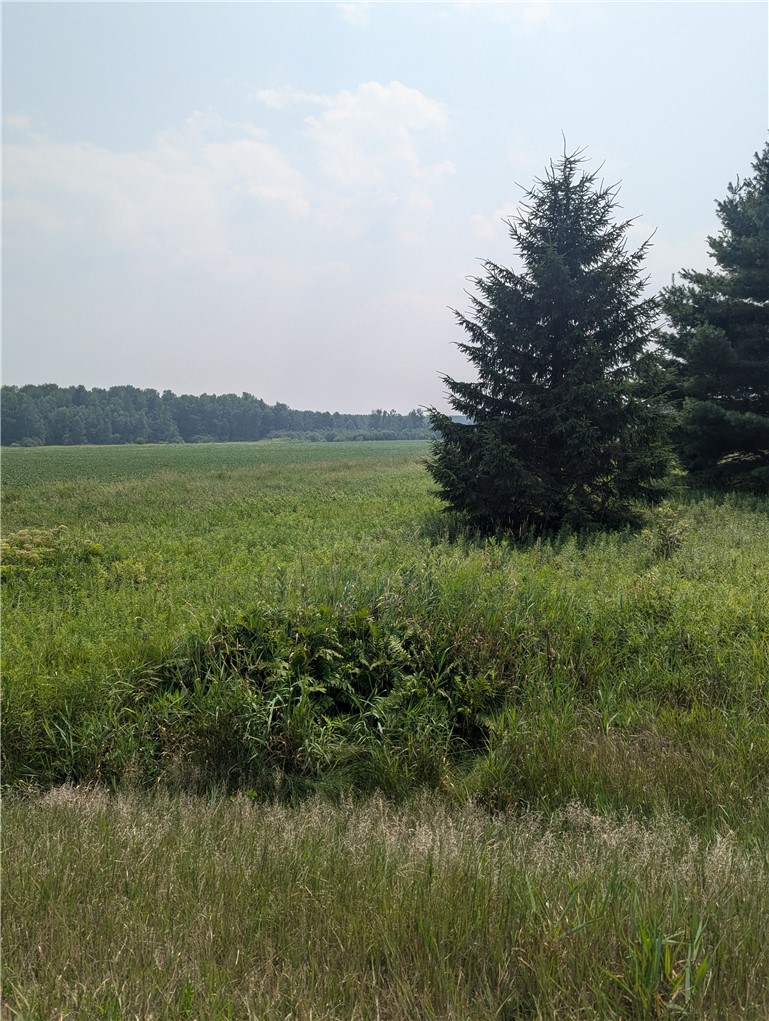 Lot 4 County Highway W Property Photo 1
