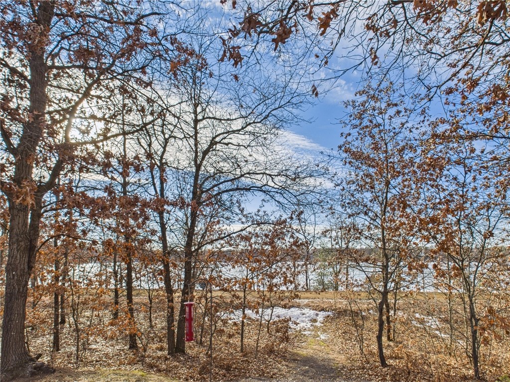 29625 Red Oak Dr Property Photo 39