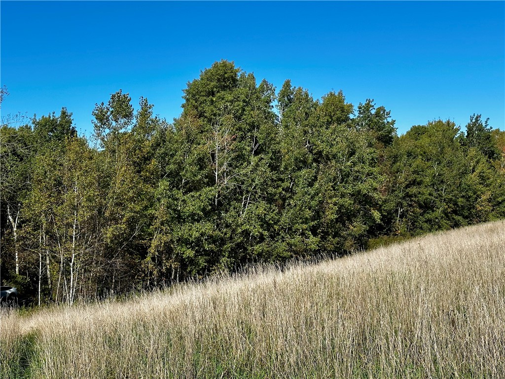 Lot 2 180th Street Property Photo 5