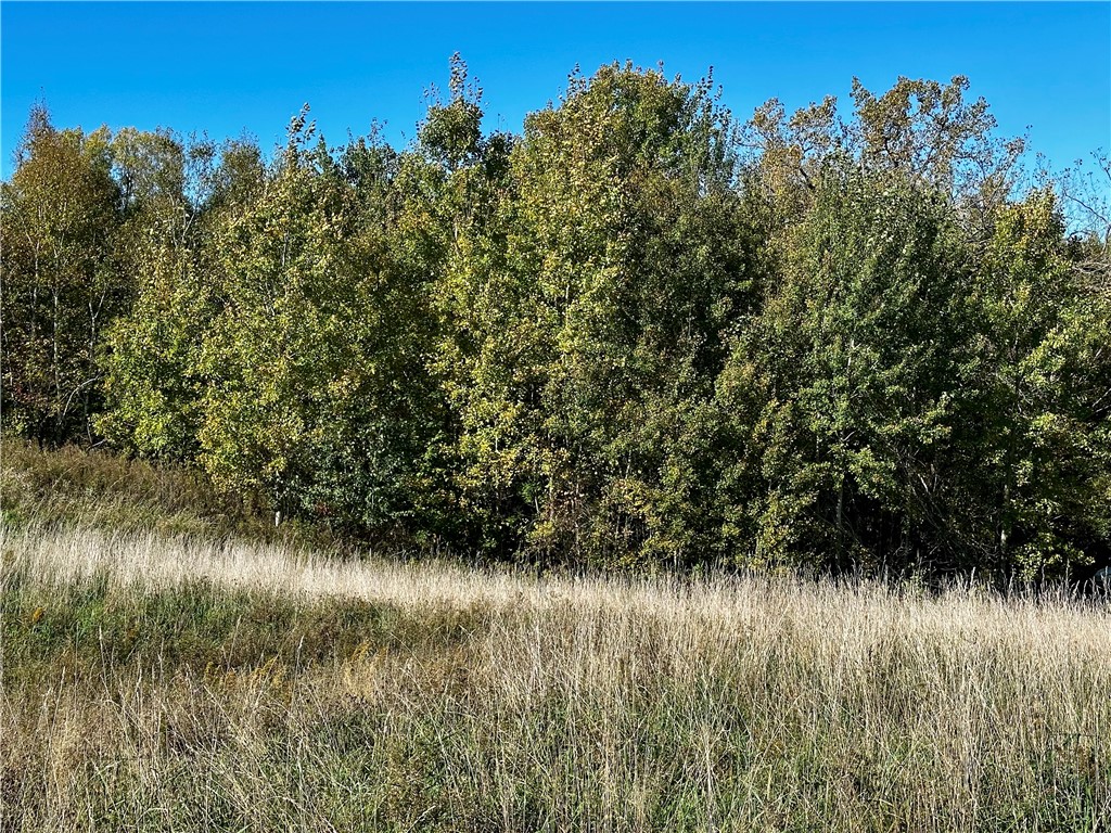 Lot 2 180th Street Property Photo 6