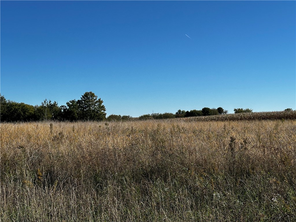 Lot 2 180th Street Property Photo 7