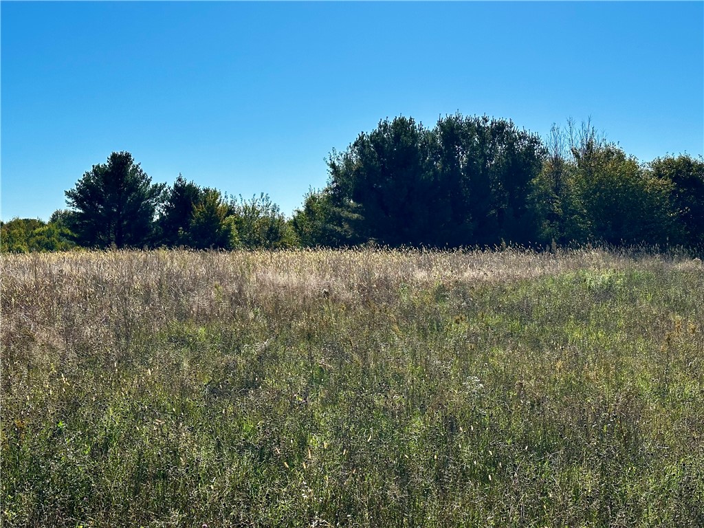 Lot 2 180th Street Property Photo 10