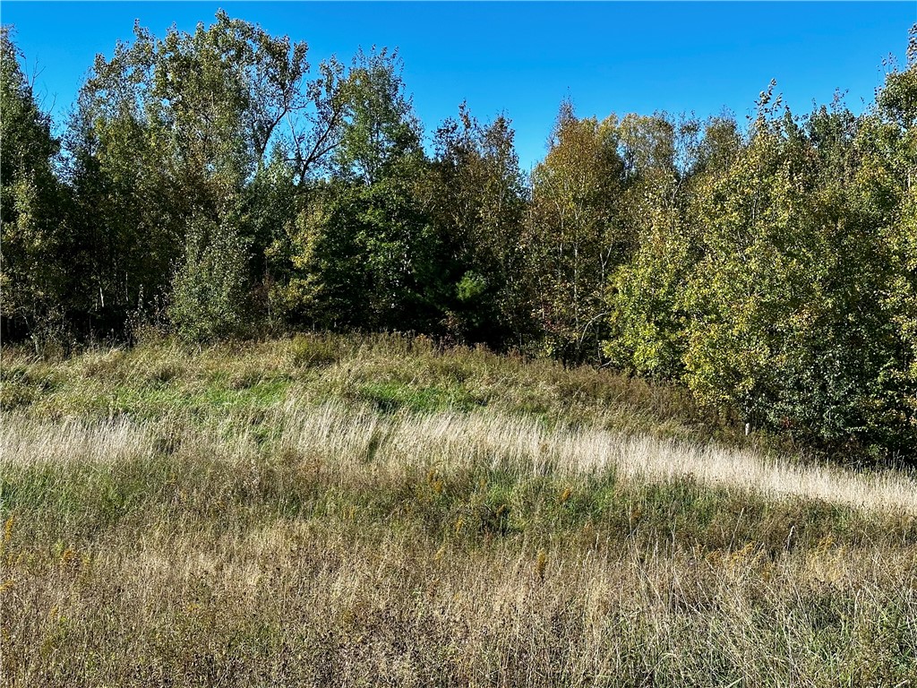 Lot 2 180th Street Property Photo 15