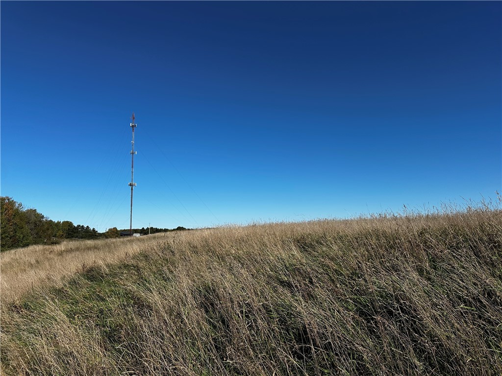 Lot 2 180th Street Property Photo 19