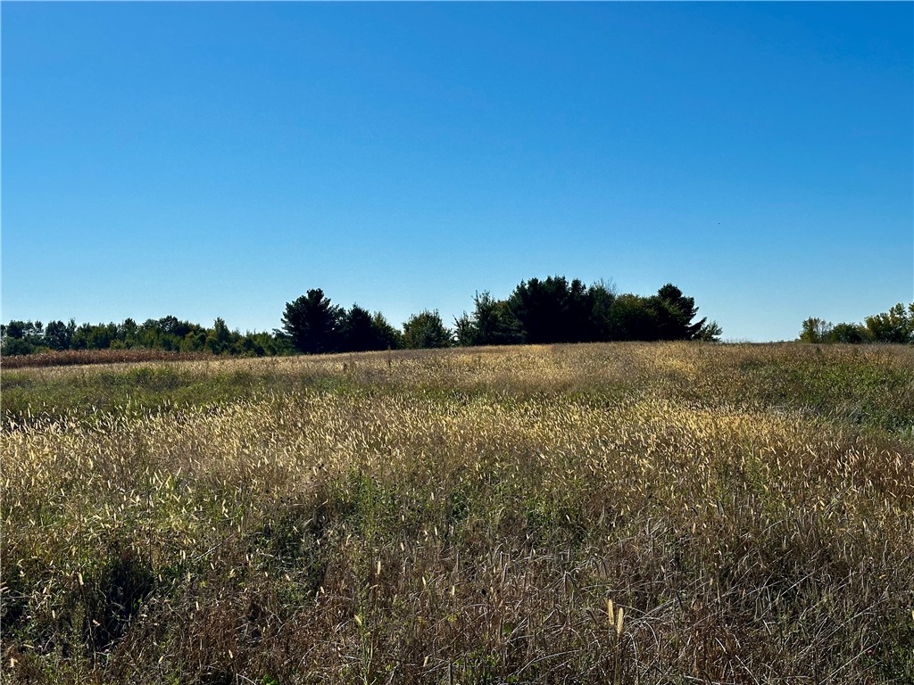 Lot 2 180th Street Property Photo 25