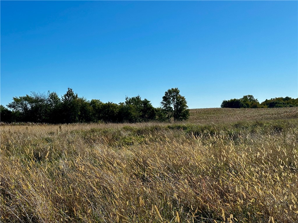 Lot 2 180th Street Property Photo 27