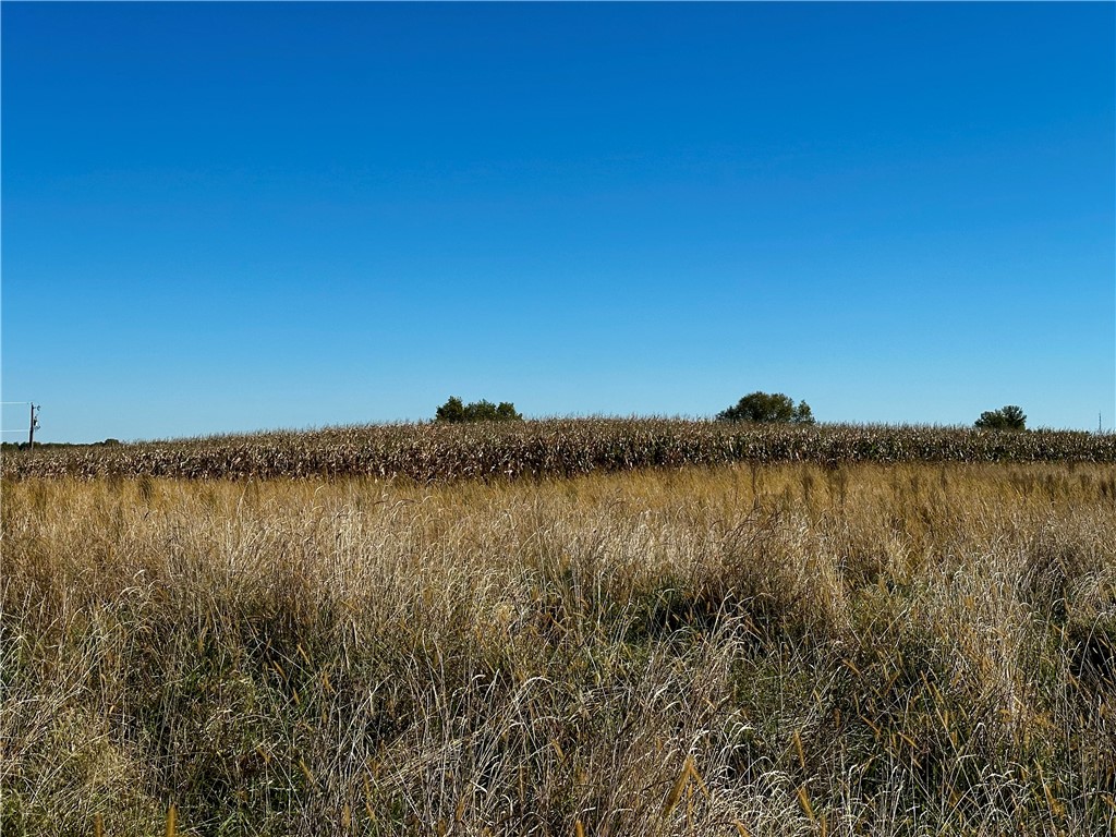 Lot 2 180th Street Property Photo 29