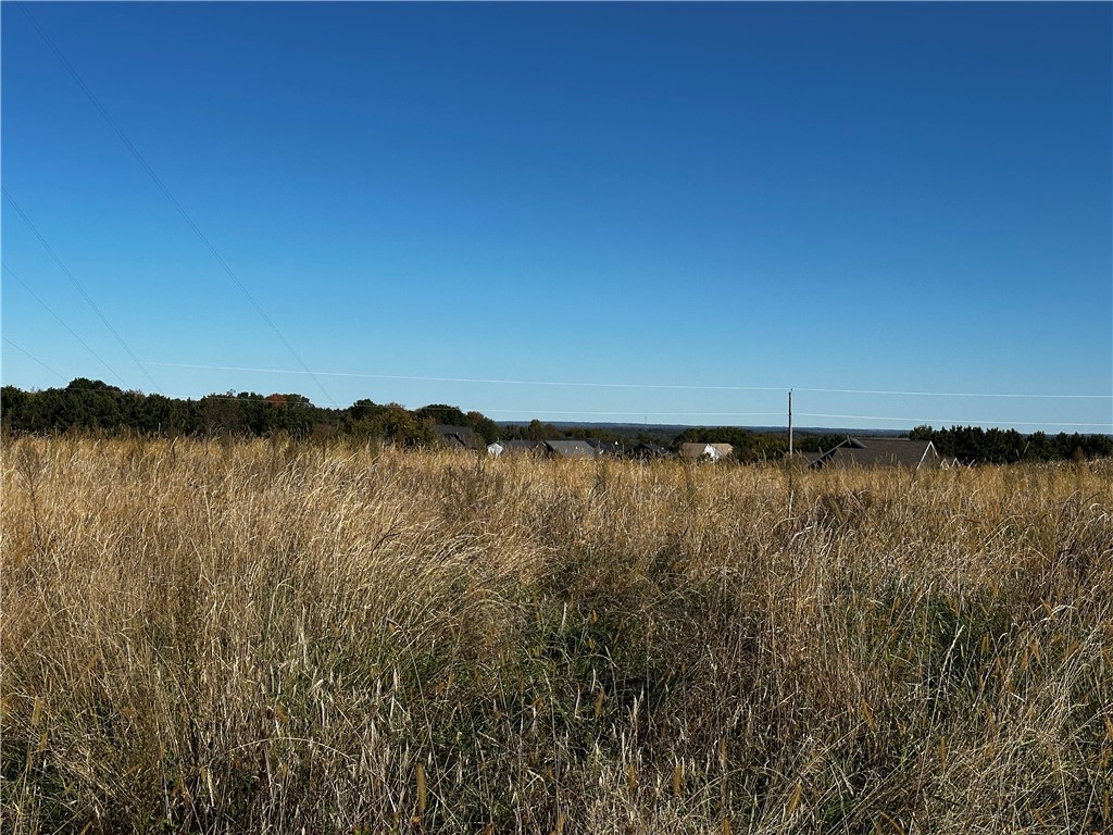 Lot 2 180th Street Property Photo 31