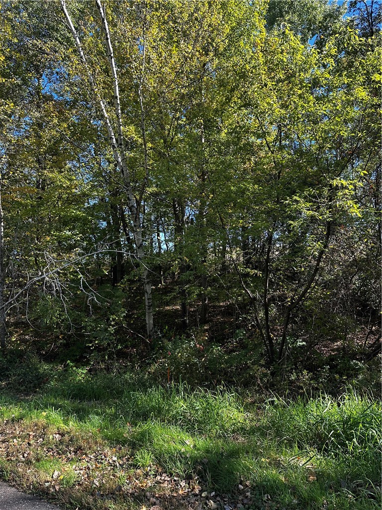 Lot 2 180th Street Property Photo 33