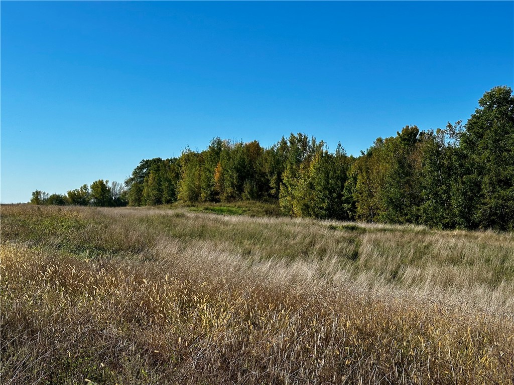 Lot 2 180th Street Property Photo 35
