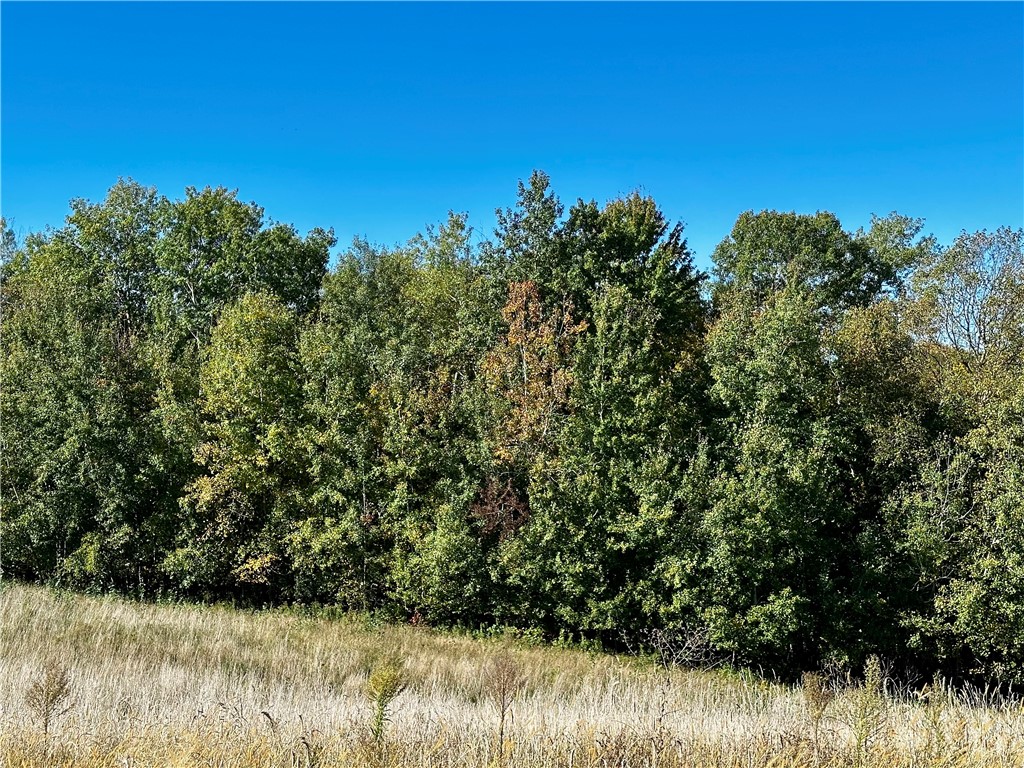 Lot 2 180th Street Property Photo 37