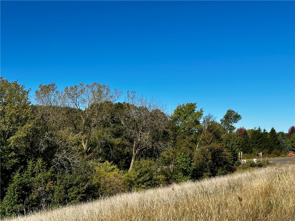Lot 2 180th Street Property Photo 38