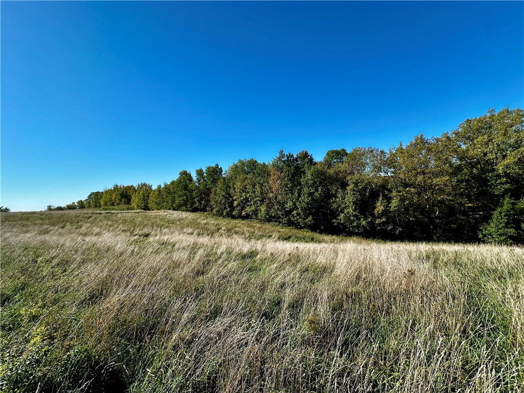 Lot 2 180th Street Property Photo 43