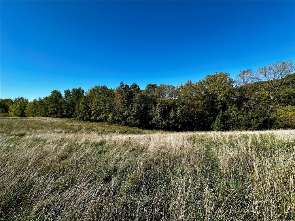 Lot 2 180th Street Property Photo 44