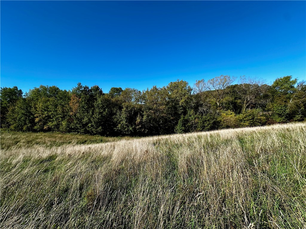 Lot 2 180th Street Property Photo 45