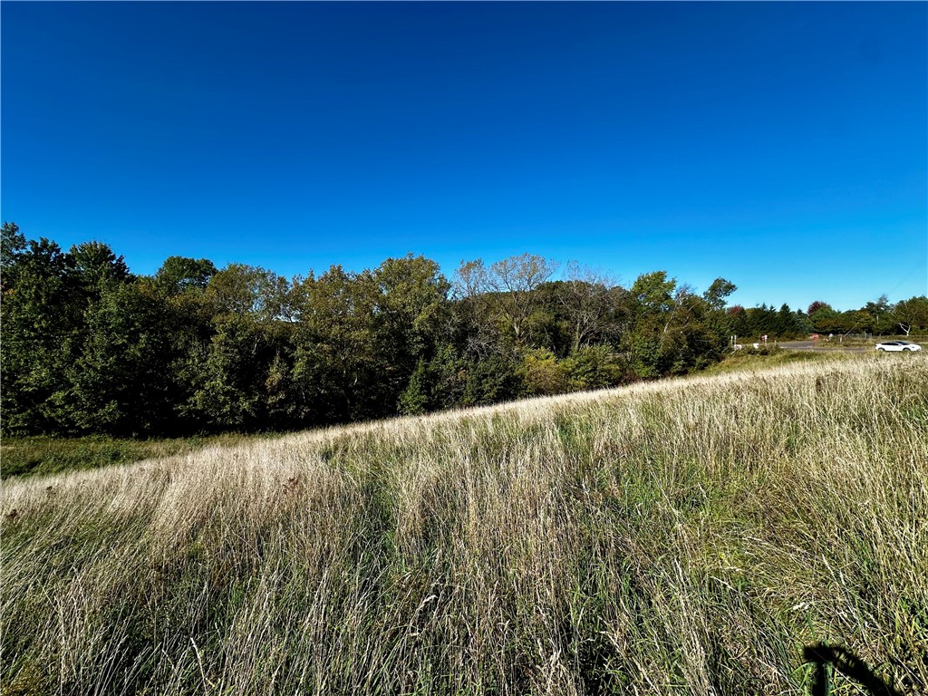 Lot 2 180th Street Property Photo 46