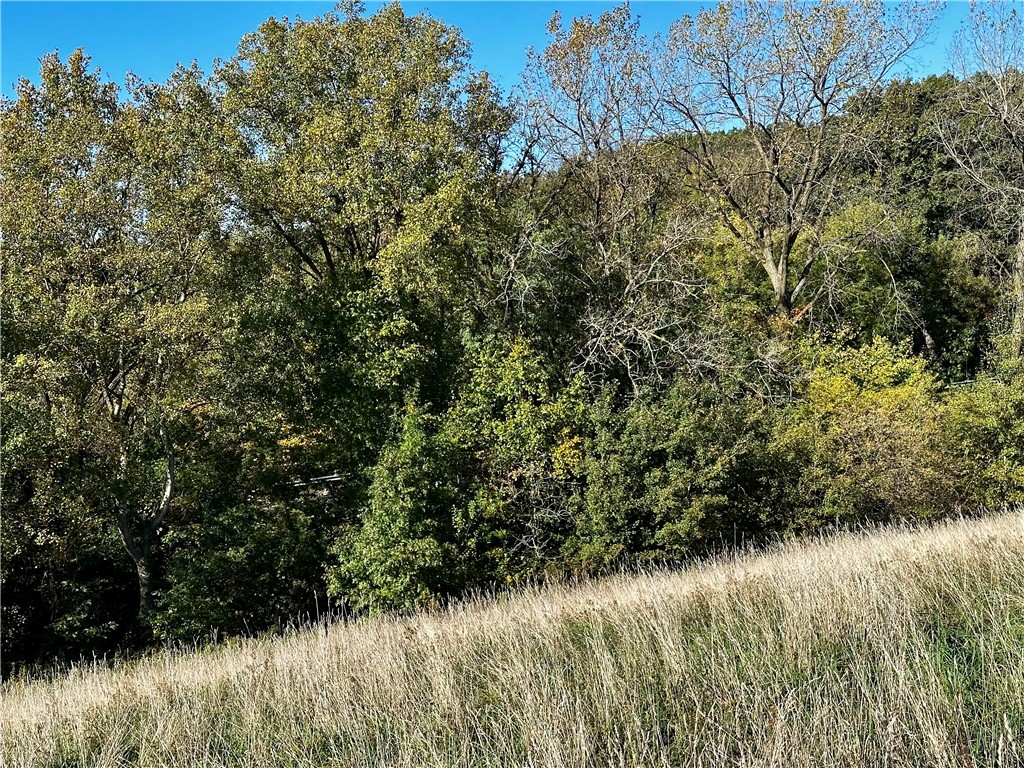 Lot 2 180th Street Property Photo 49