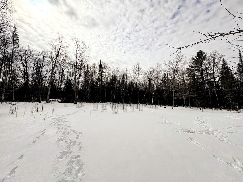 46775 Tri Lakes Road Property Photo 32