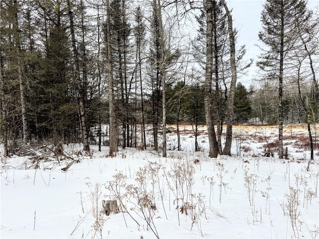 46775 Tri Lakes Road Property Photo 34