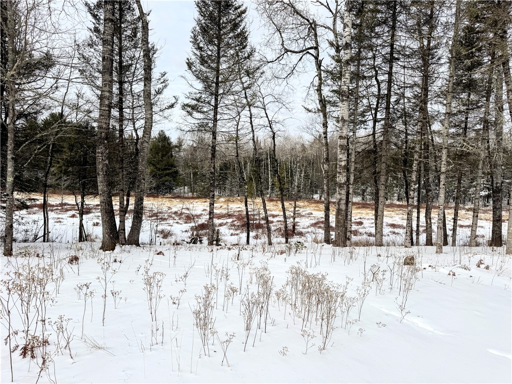 46775 Tri Lakes Road Property Photo 35