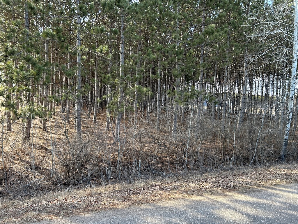 Lot 4 210th Street Property Photo
