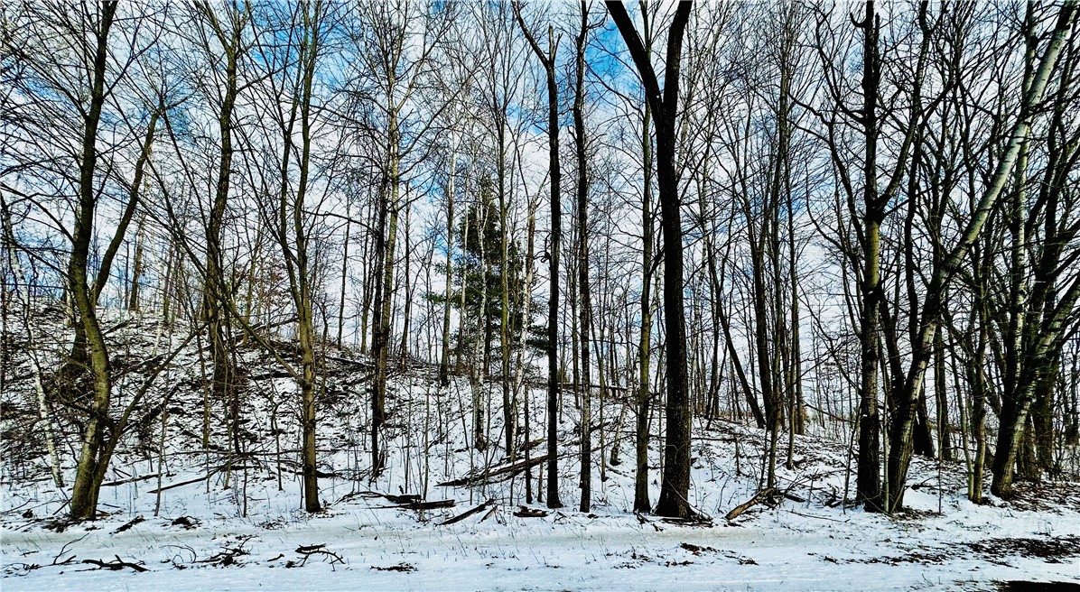 Lot 3 180th St/181st St Property Photo