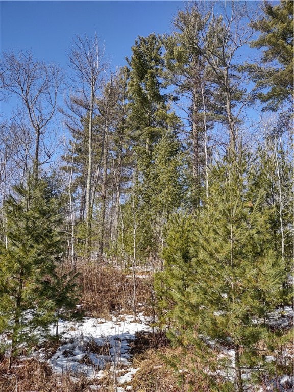 Lot 67 Xxx Wood Creek Lane Property Photo