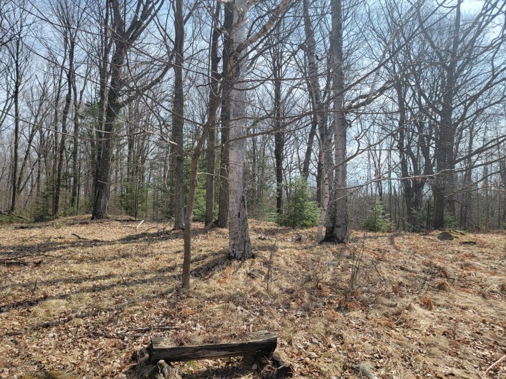 N7586 W Cherry Road Property Photo 12
