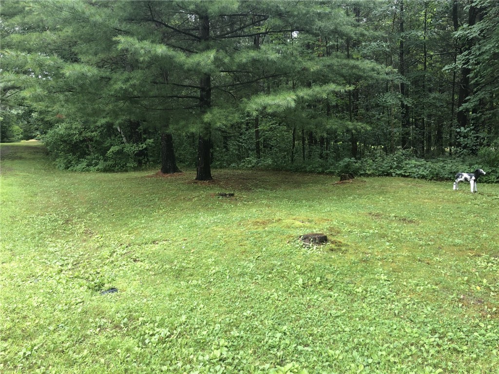 N 3753 Cranberry Drive Property Photo 39