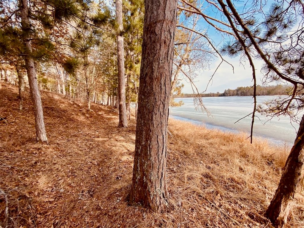 15754 S Bond Leader Lake Road Property Photo 30