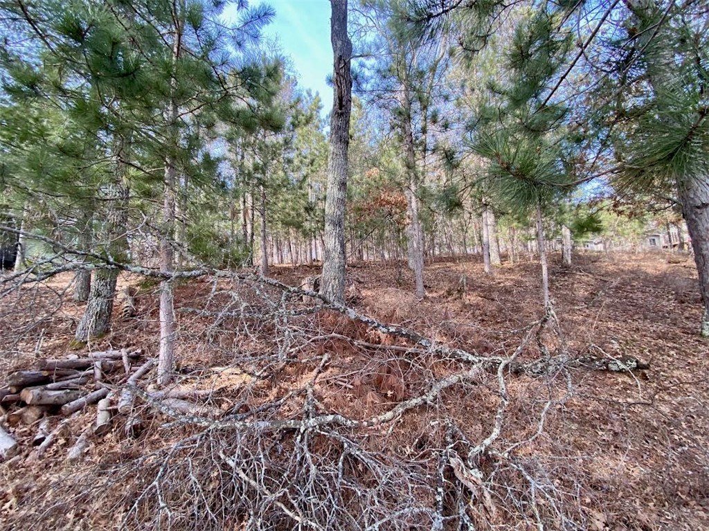 15754 S Bond Leader Lake Road Property Photo 31