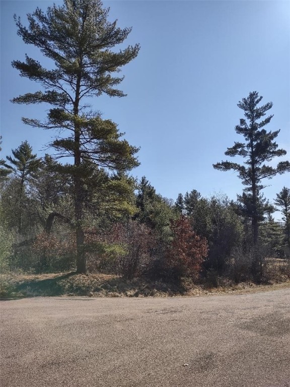 Lots 41, 42 & 43 S Red Pine Trail Property Photo