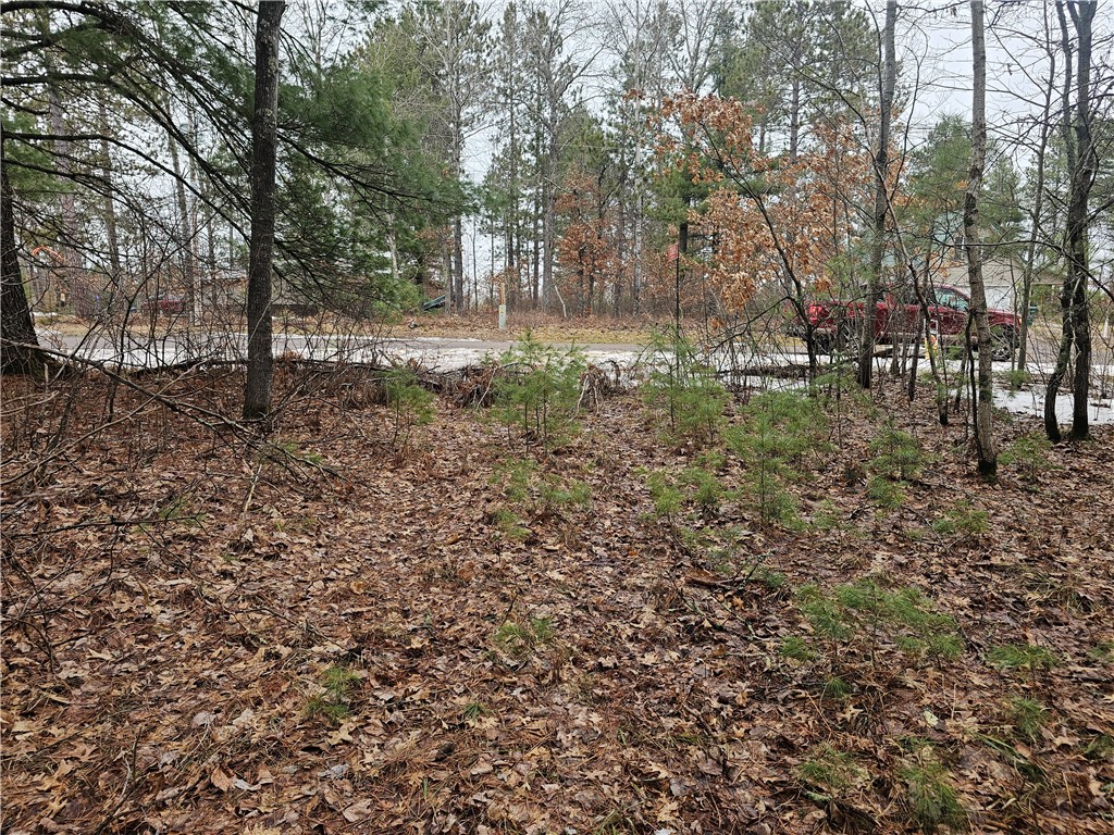 Tbd 1 Pine Chip Drive Property Photo