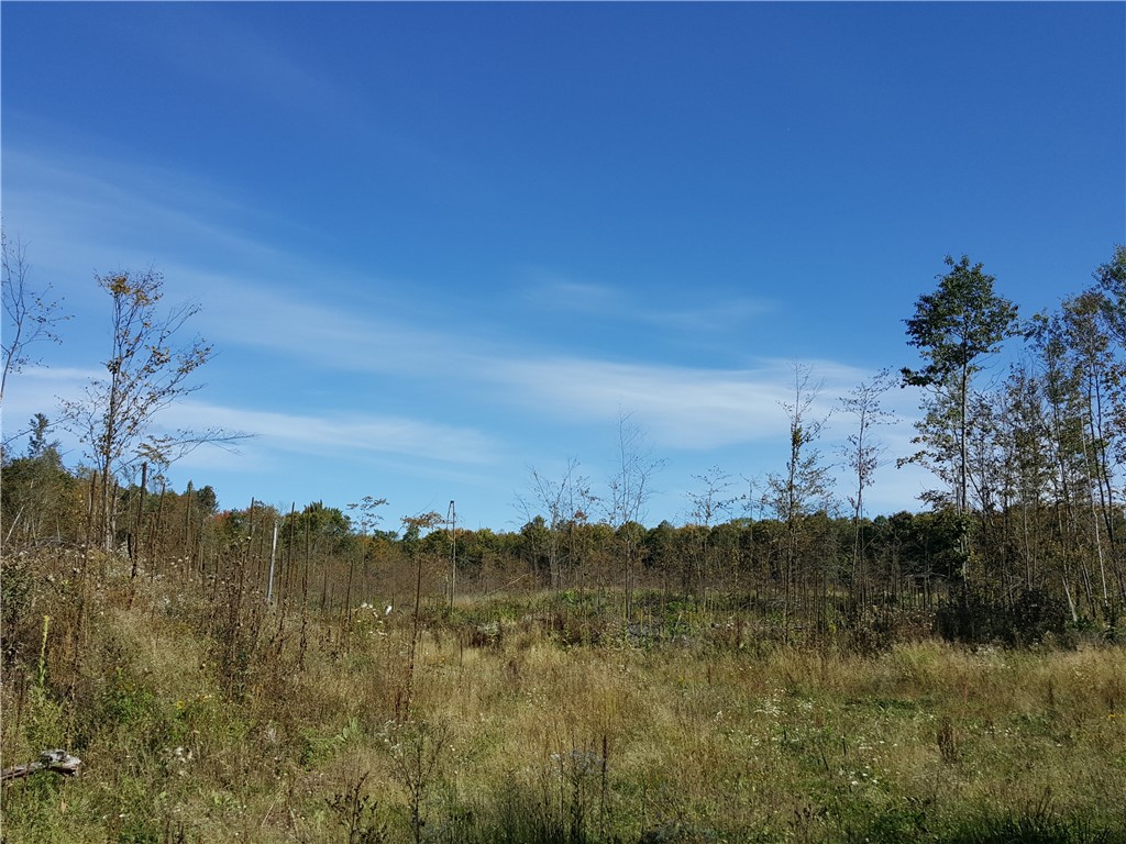 On N Altamont Road Property Photo 4