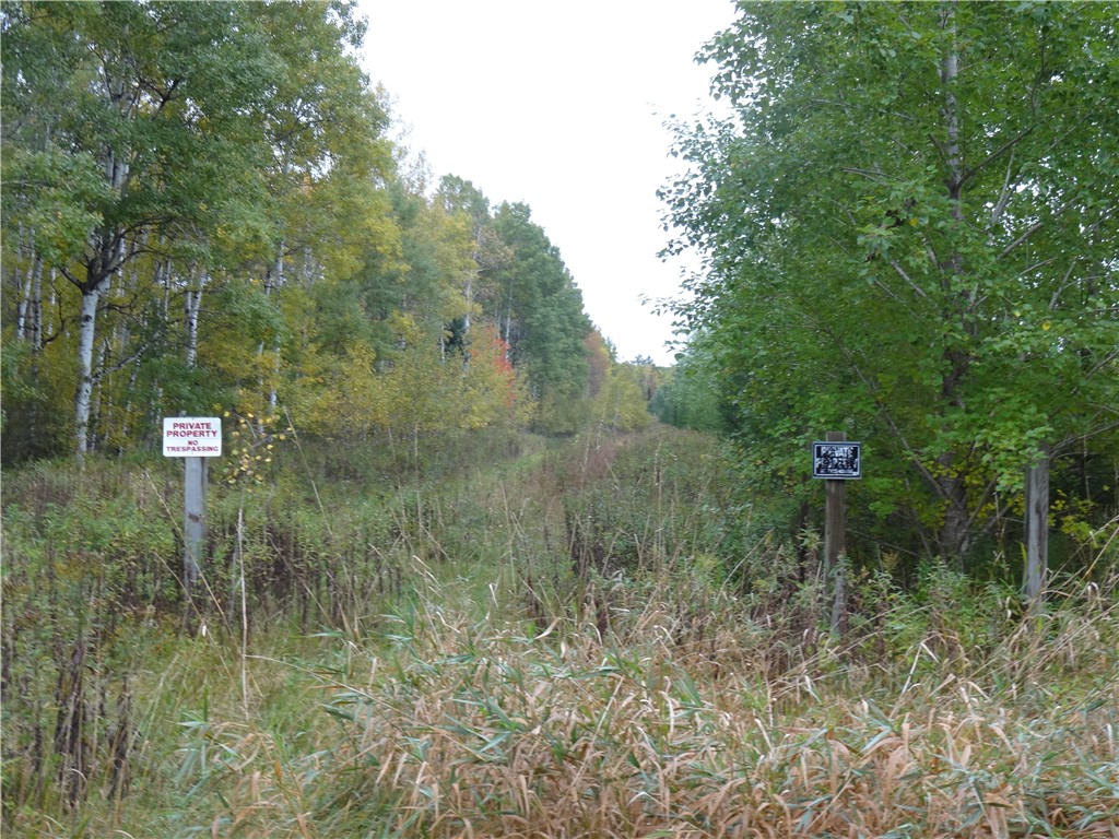 Near Mcinerney Road Property Photo