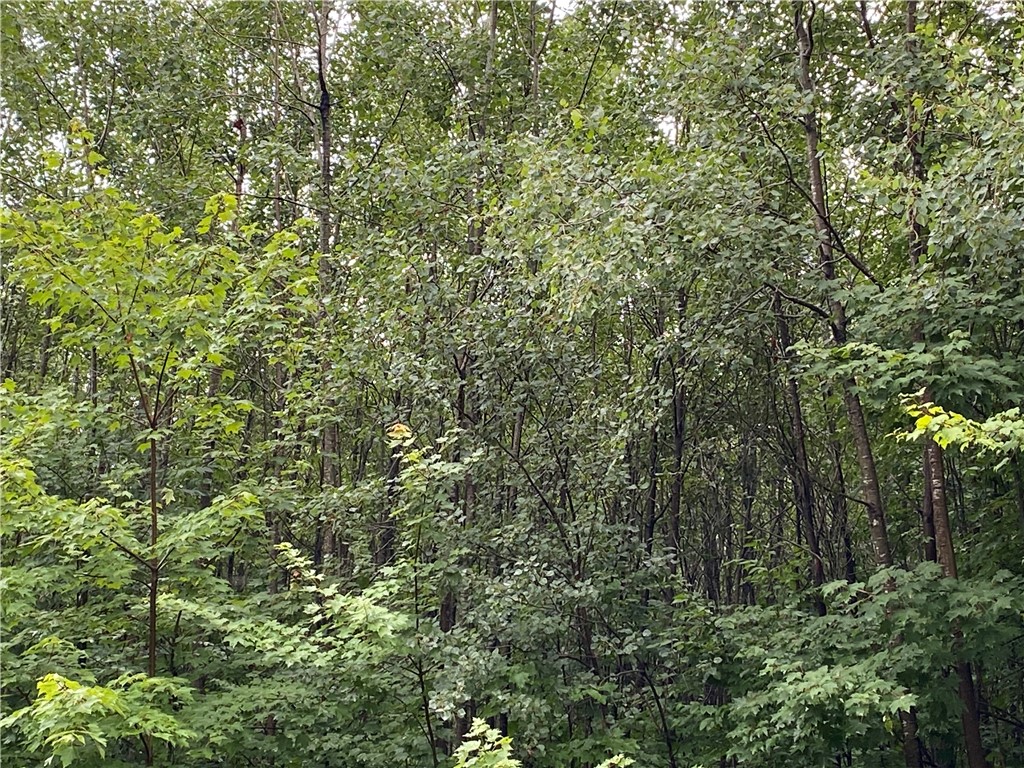 57 Ashland | Bayfield Real Estate Listings Main Image