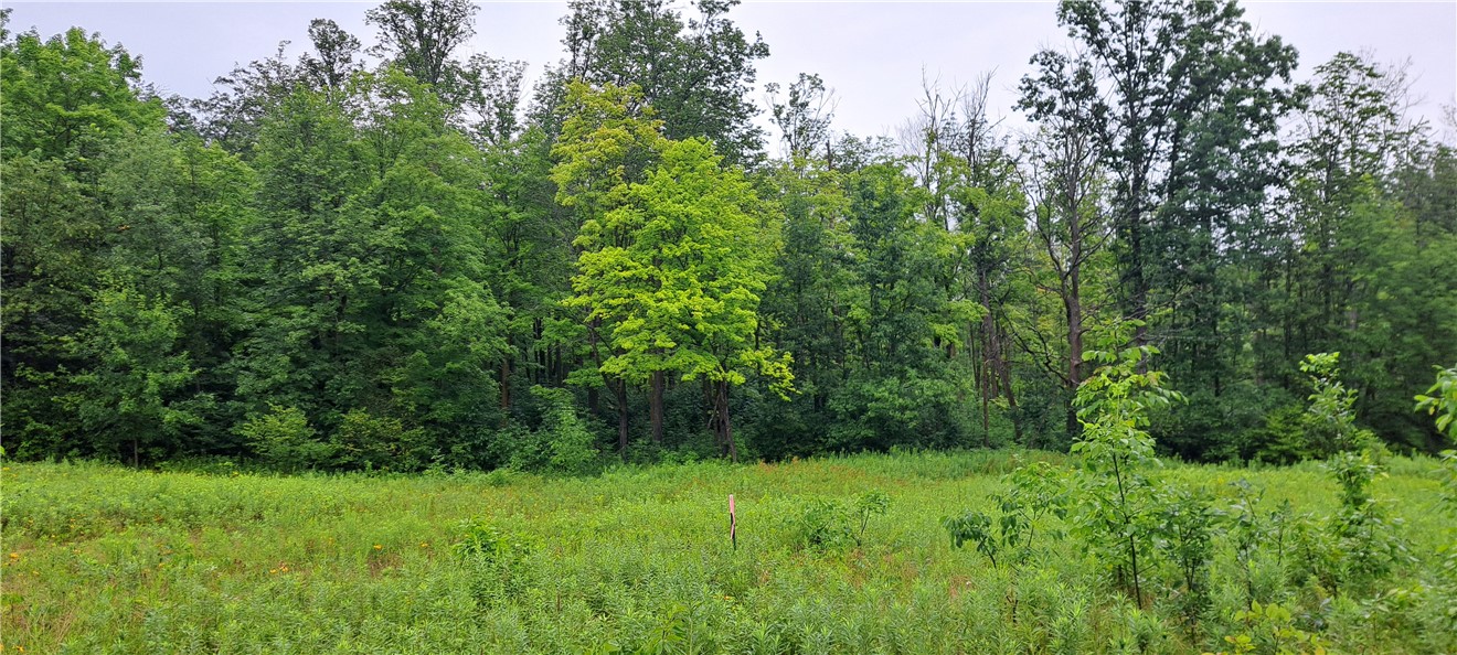 Lot 3 Musky Point Drive Property Photo