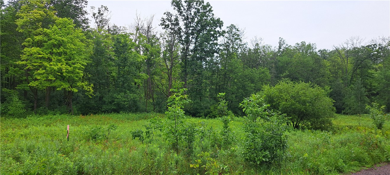 Lot 4 Musky Point Drive Property Photo