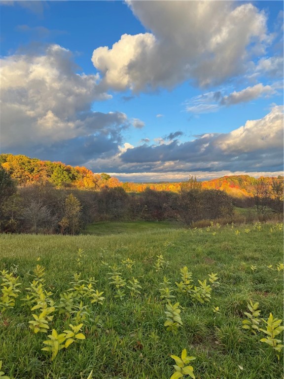 Lot 30 181st Street Property Photo