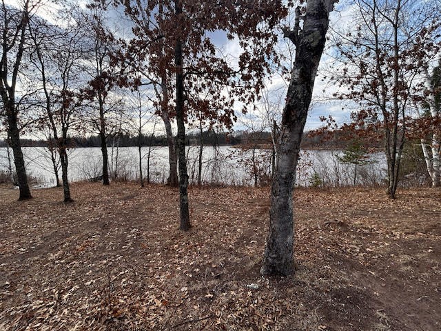 0 Highway 35 Property Photo 10