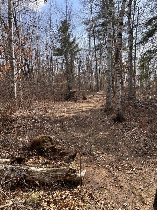 0 Highway 35 Property Photo 13