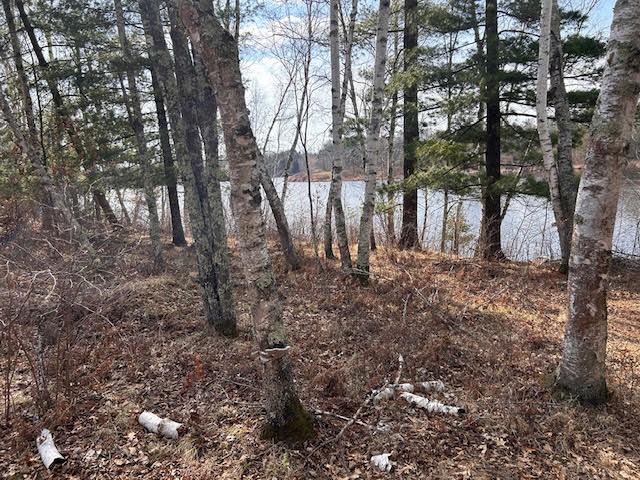 0 Highway 35 Property Photo 14