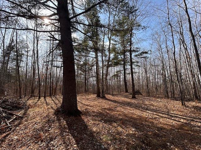 0 Highway 35 Property Photo 15