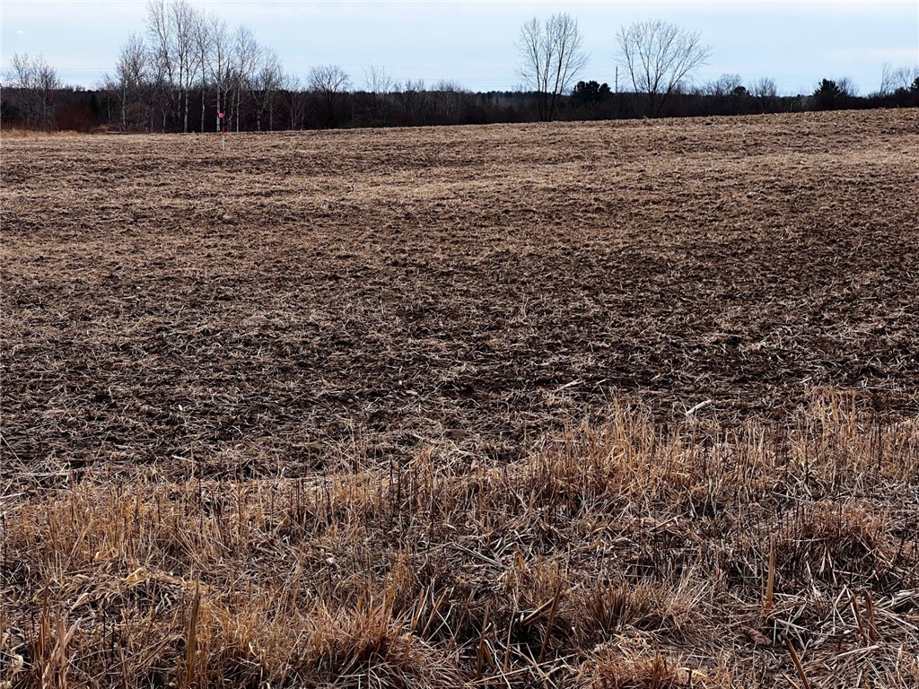 Lot 4 Main Street Property Photo