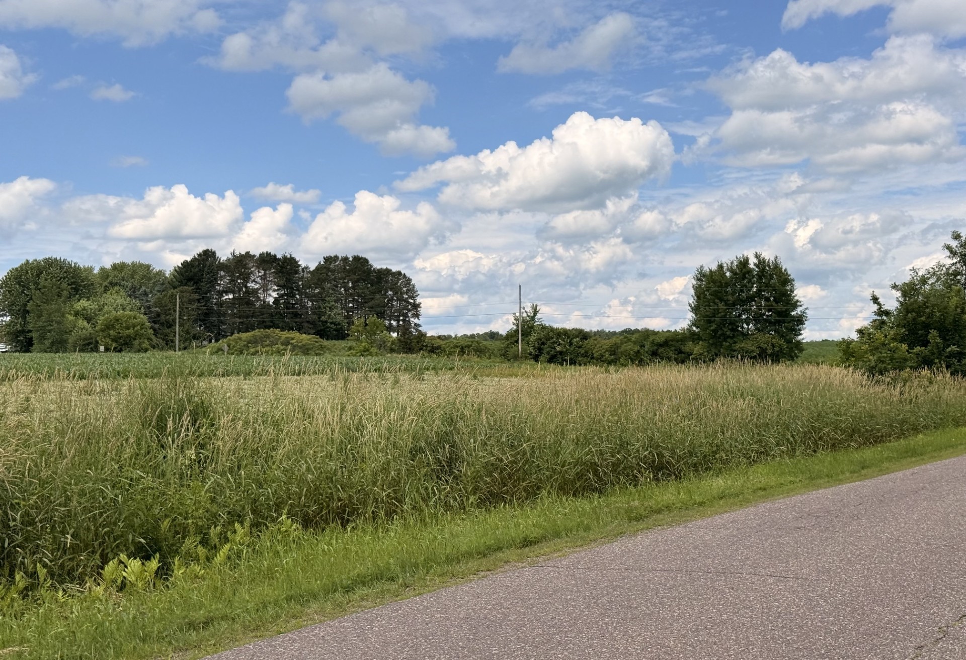 Lot 1 Main Street Property Photo 3